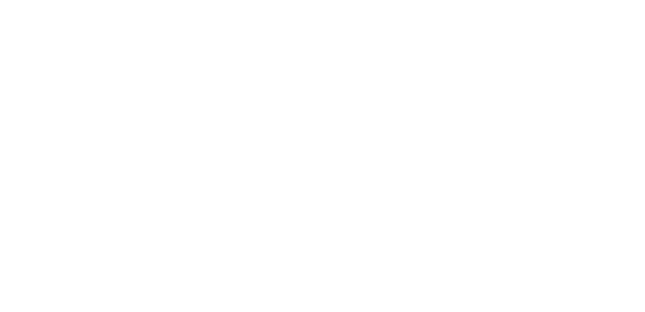 商業模式